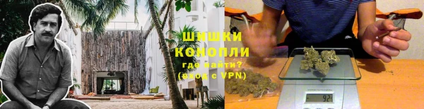 ГАЛЛЮЦИНОГЕННЫЕ ГРИБЫ Алзамай