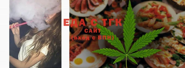 индика Алексин