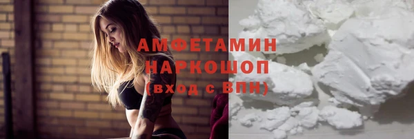 индика Алексин