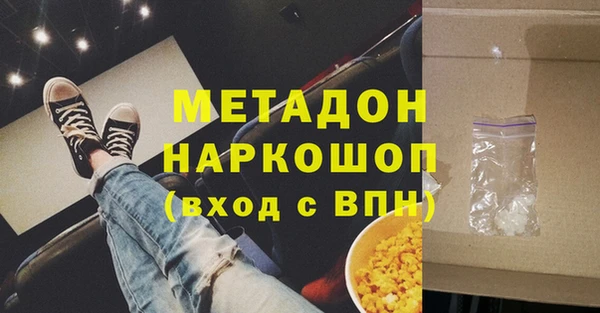 индика Алексин