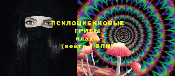ГАЛЛЮЦИНОГЕННЫЕ ГРИБЫ Алзамай