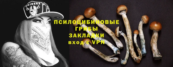индика Алексин