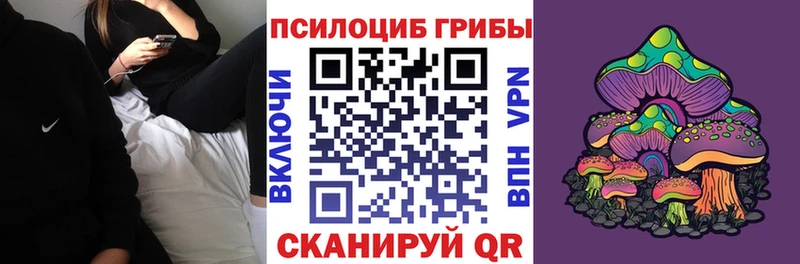 Псилоцибиновые грибы мицелий  hydra ссылки  Казань 